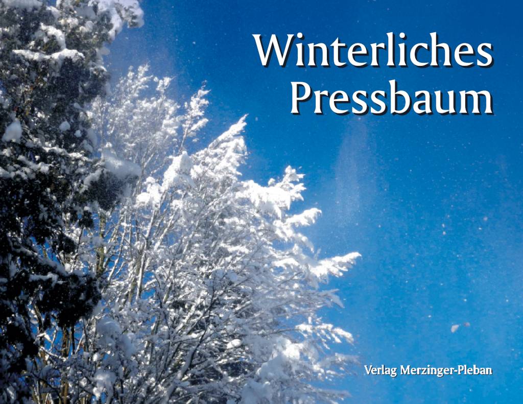 Winterliches Pressbaum