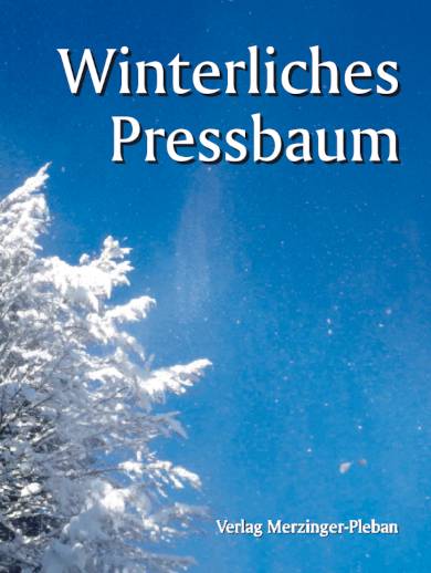 Winterliches Pressbaum